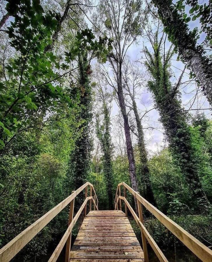 Gite Du Parc Des Mauves Мён-сюр-Луар Экстерьер фото